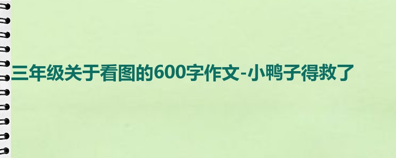 三年级关于看图的600字作文-小鸭子得救了