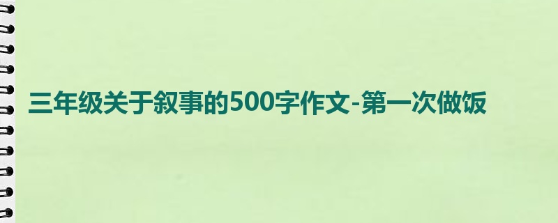 三年级关于叙事的500字作文-第一次做饭