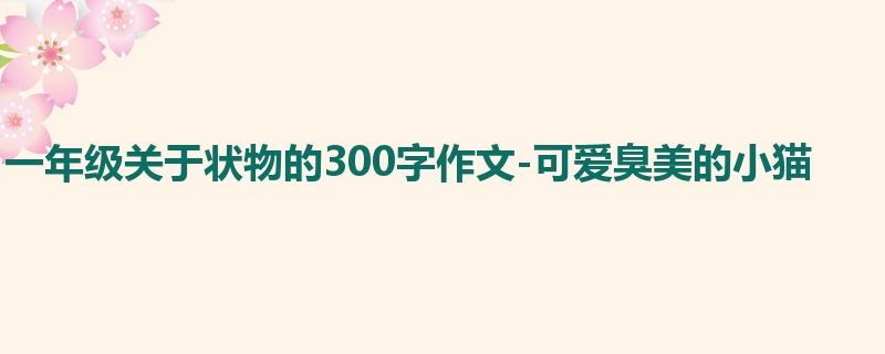 一年级关于状物的300字作文-可爱臭美的小猫