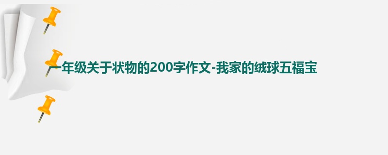 一年级关于状物的200字作文-我家的绒球五福宝