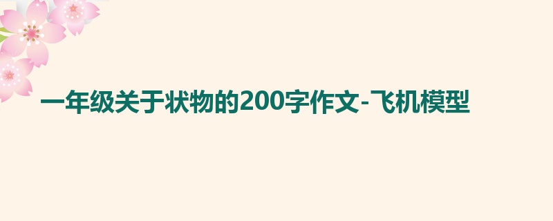 一年级关于状物的200字作文-飞机模型