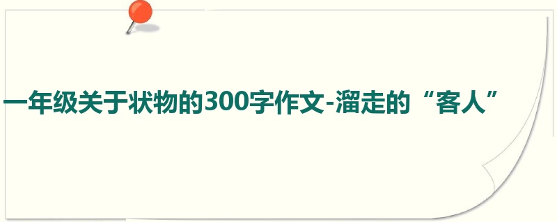 一年级关于状物的300字作文-溜走的“客人”