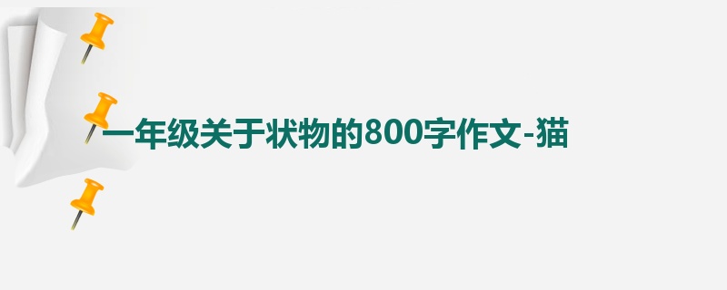 一年级关于状物的800字作文-猫