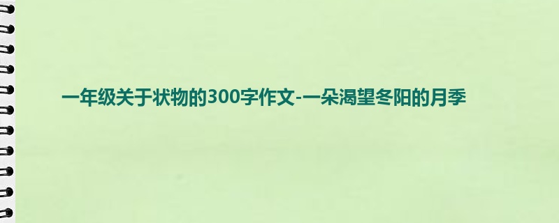 一年级关于状物的300字作文-一朵渴望冬阳的月季