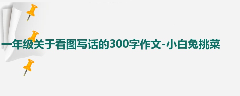 一年级关于看图写话的300字作文-小白兔挑菜