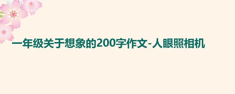 一年级关于想象的200字作文-人眼照相机