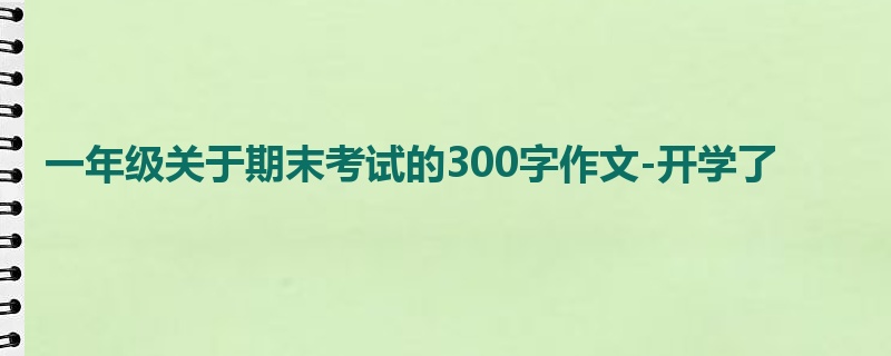 一年级关于期末考试的300字作文-开学了