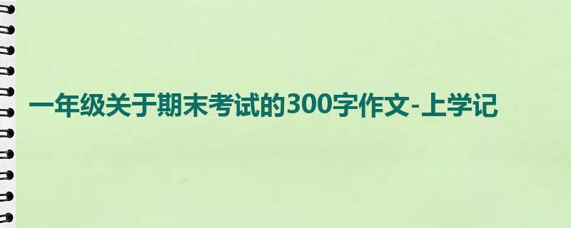 一年级关于期末考试的300字作文-上学记