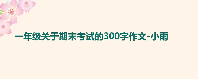 一年级关于期末考试的300字作文-小雨