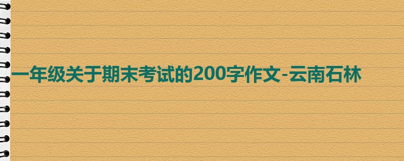 一年级关于期末考试的200字作文-云南石林