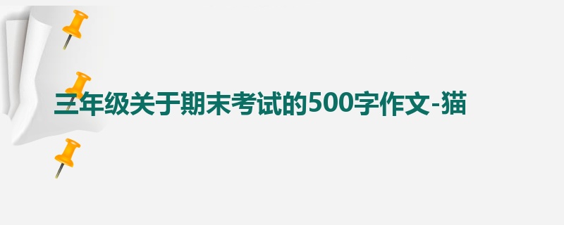 三年级关于期末考试的500字作文-猫