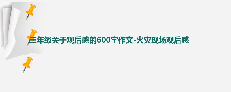 三年级关于观后感的600字作文-火灾现场观后感