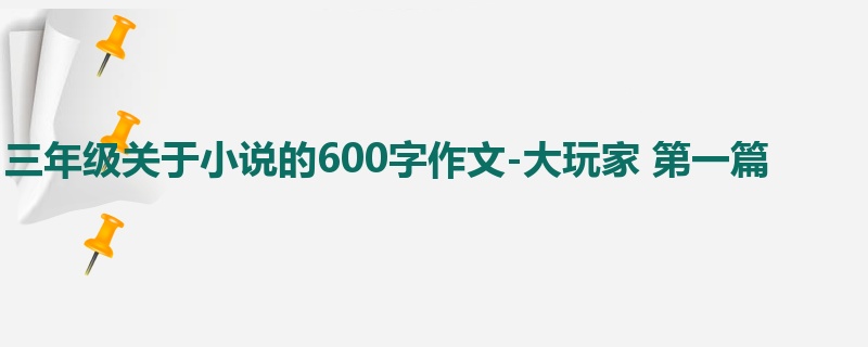 三年级关于小说的600字作文-大玩家 第一篇