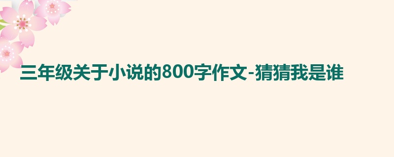 三年级关于小说的800字作文-猜猜我是谁