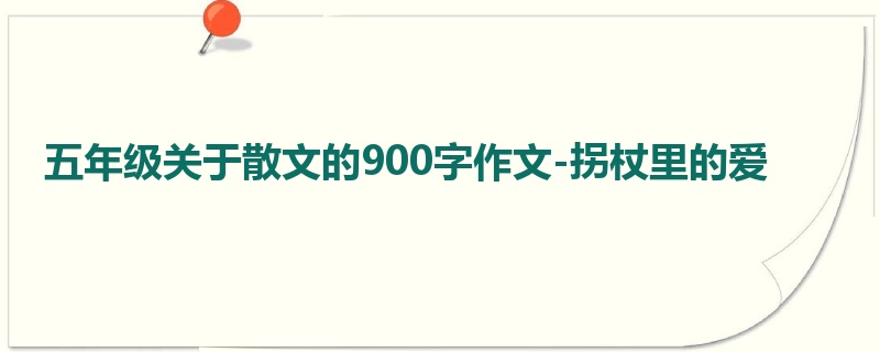 五年级关于散文的900字作文-拐杖里的爱