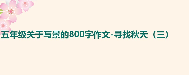 五年级关于写景的800字作文-寻找秋天(三)