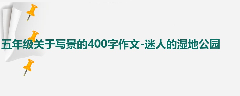 五年级关于写景的400字作文-迷人的湿地公园