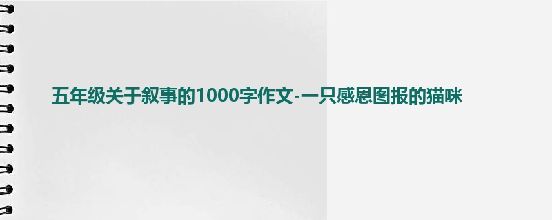 五年级关于叙事的1000字作文-一只感恩图报的猫咪