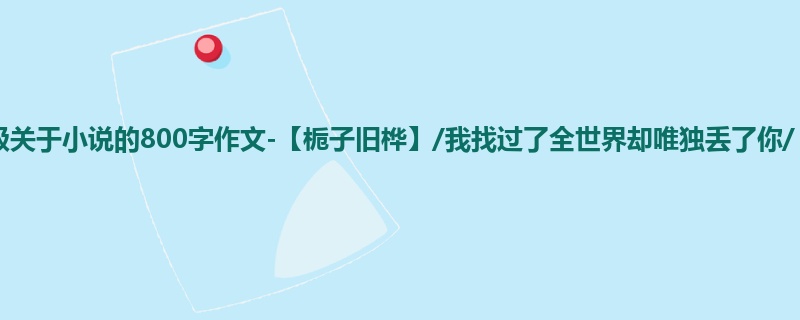 四年级关于小说的800字作文-【栀子旧桦】/我找过了全世界却唯独丢了你/