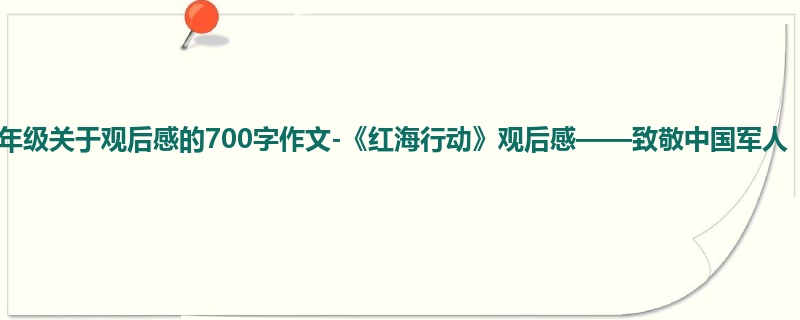 四年级关于观后感的700字作文-《红海行动》观后感——致敬中国军人