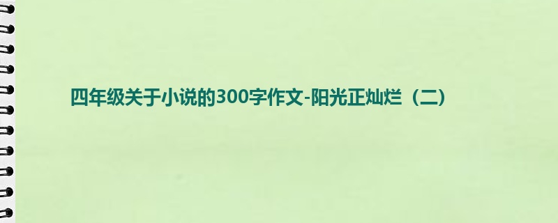 四年级关于小说的300字作文-阳光正灿烂（二）