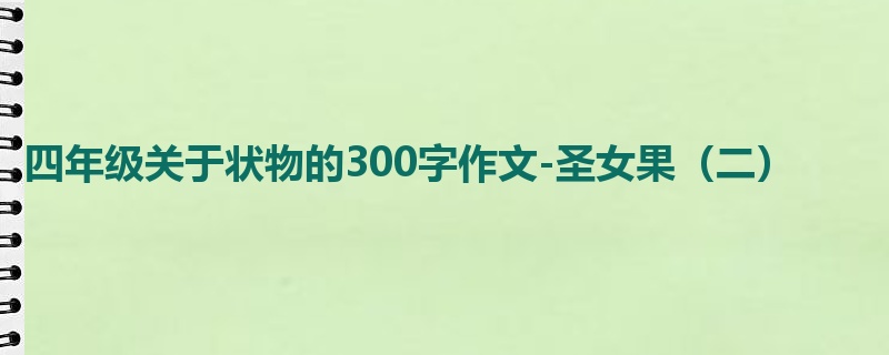 四年级关于状物的300字作文-圣女果(二)