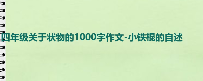 四年级关于状物的1000字作文-小铁棍的自述