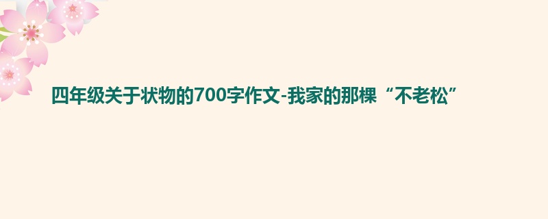 四年级关于状物的700字作文-我家的那棵“不老松”