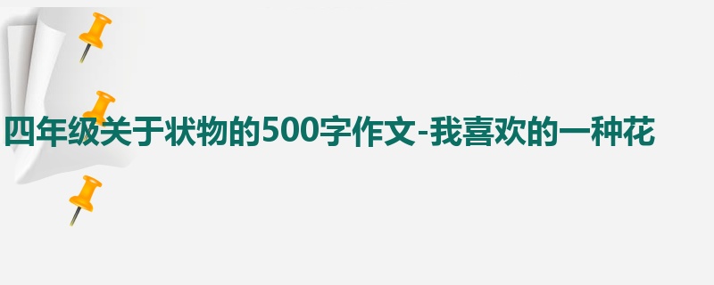四年级关于状物的500字作文-我喜欢的一种花