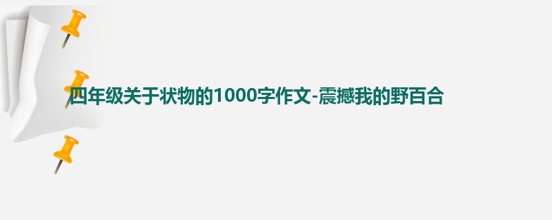 四年级关于状物的1000字作文-震撼我的野百合