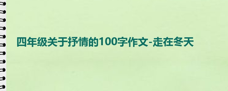 四年级关于抒情的100字作文-走在冬天