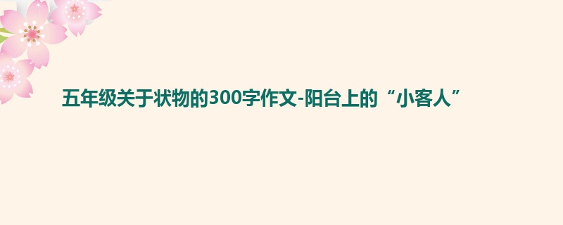 五年级关于状物的300字作文-阳台上的“小客人”