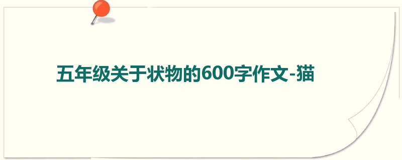 五年级关于状物的600字作文-猫