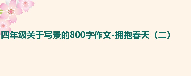 四年级关于写景的800字作文-拥抱春天(二)