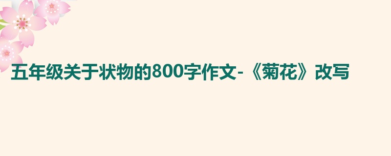 五年级关于状物的800字作文-《菊花》改写