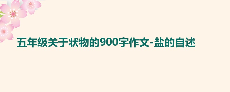 五年级关于状物的900字作文-盐的自述