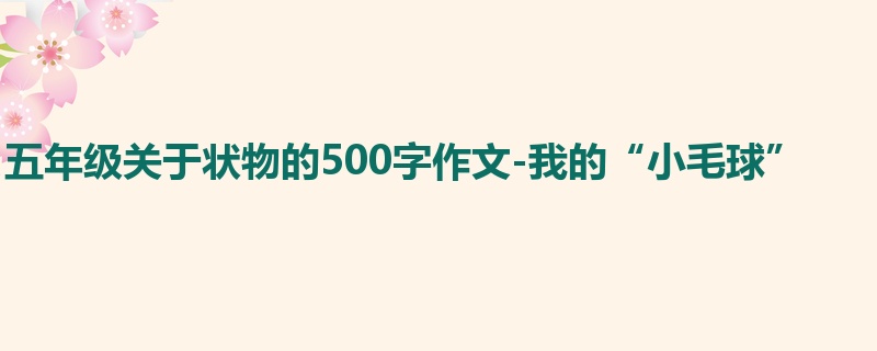 五年级关于状物的500字作文-我的“小毛球”