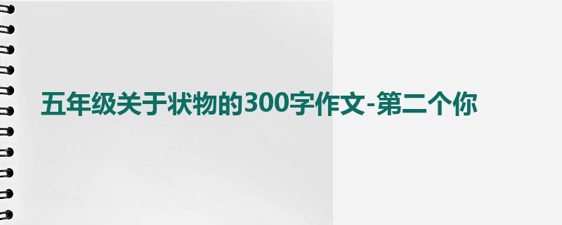 五年级关于状物的300字作文-第二个你