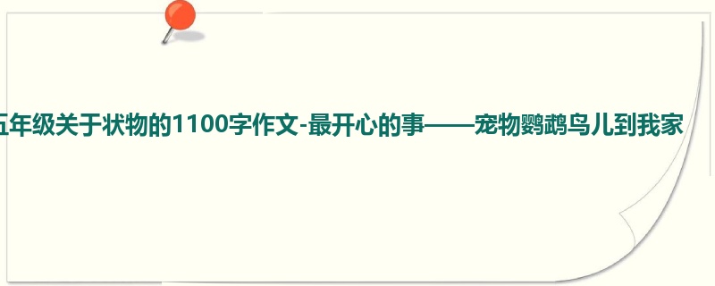 五年级关于状物的1100字作文-最开心的事——宠物鹦鹉鸟儿到我家