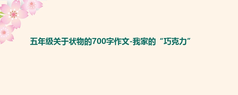 五年级关于状物的700字作文-我家的“巧克力”