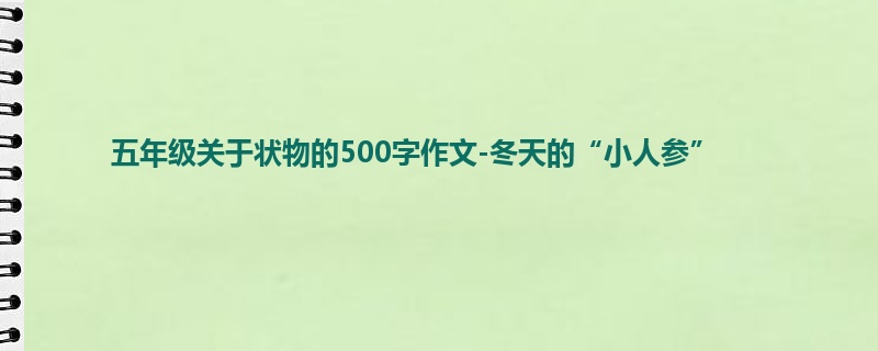 五年级关于状物的500字作文-冬天的“小人参”