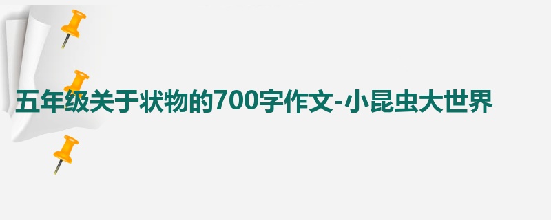 五年级关于状物的700字作文-小昆虫大世界