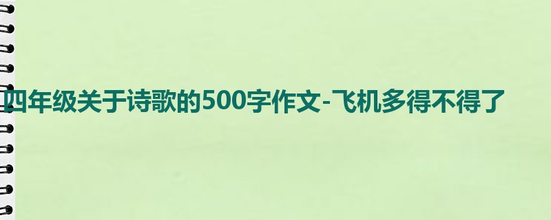 四年级关于诗歌的500字作文-飞机多得不得了