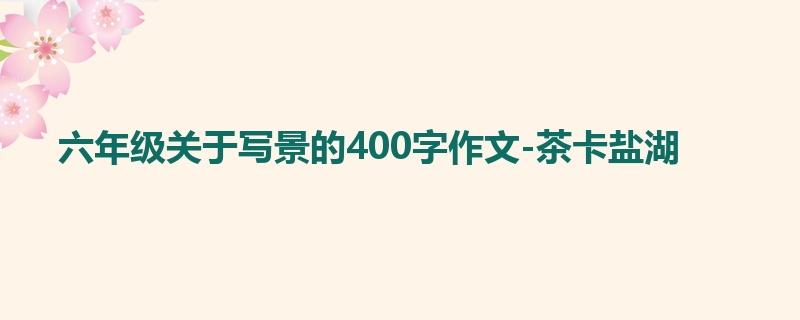 六年级关于写景的400字作文-茶卡盐湖