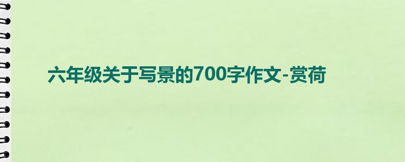 六年级关于写景的700字作文-赏荷