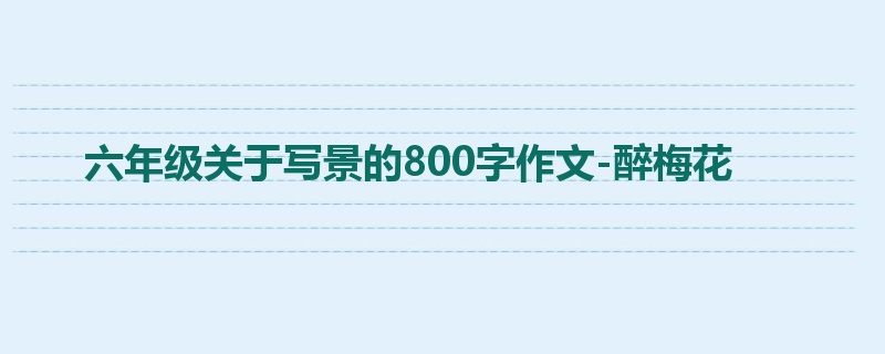 六年级关于写景的800字作文-醉梅花
