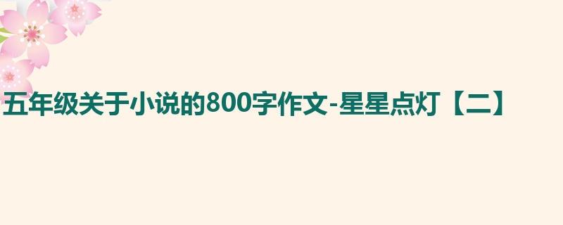 五年级关于小说的800字作文-星星点灯【二】