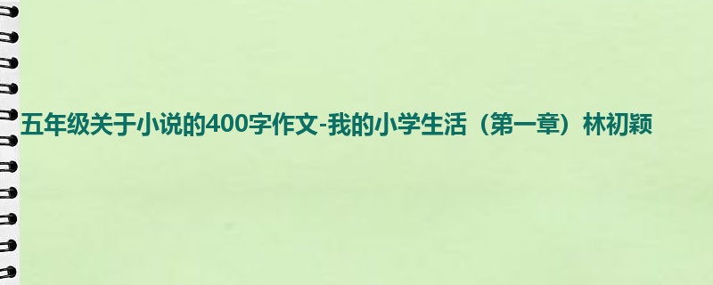 五年级关于小说的400字作文-我的小学生活(第一章)林初颖
