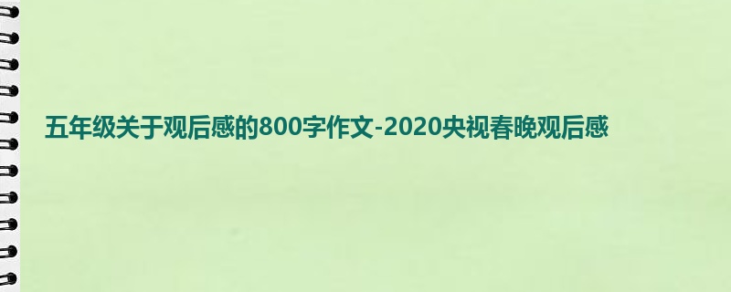 五年级关于观后感的800字作文-2020央视春晚观后感