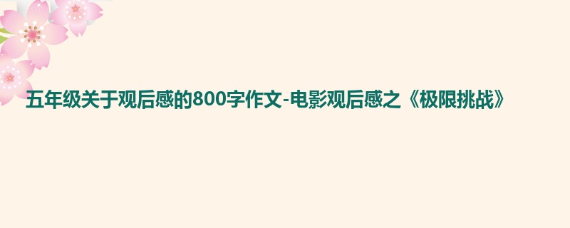 五年级关于观后感的800字作文-电影观后感之《极限挑战》